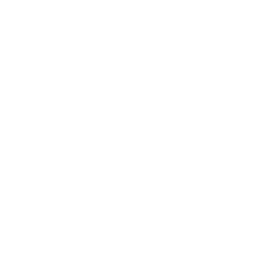 WebGis Development